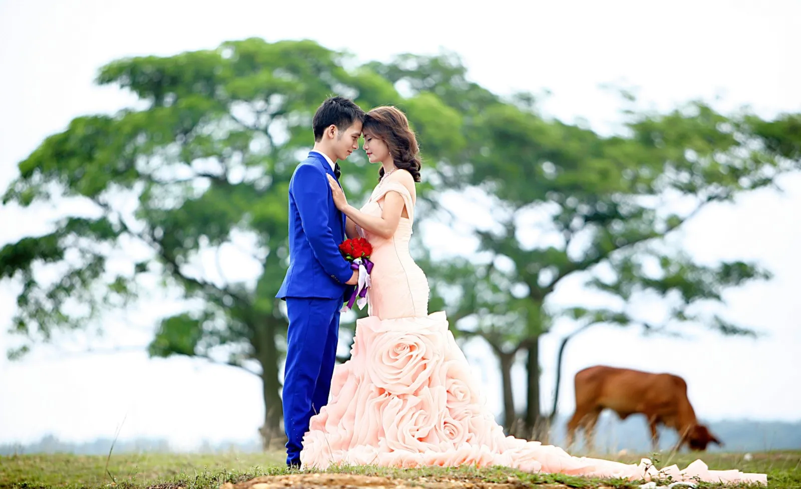 wedding pictures